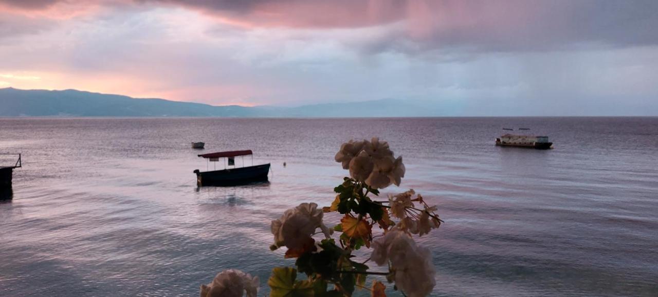 Villa Dea Ohrid Eksteriør billede